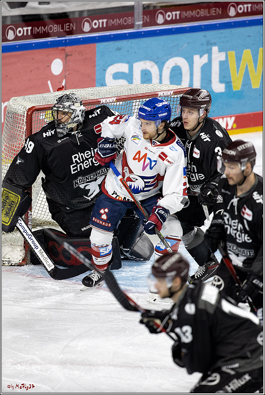 PENNY DEL;  Koelner Haie - Adler Mannheim; Koeln, 08.04.2021